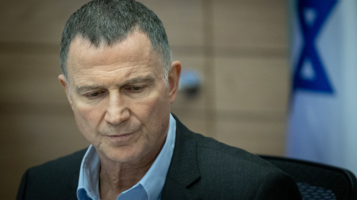 יולי אדלשטיין (צילום: חיים גולדברג, פלאש 90)