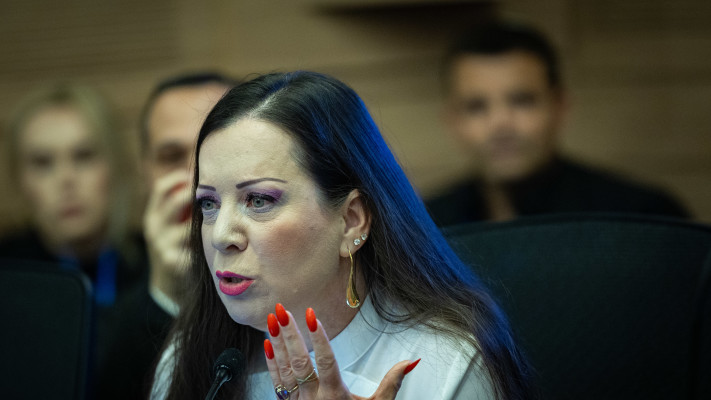 טלי גוטליב (צילום: יונתן זינדל, פלאש 90)