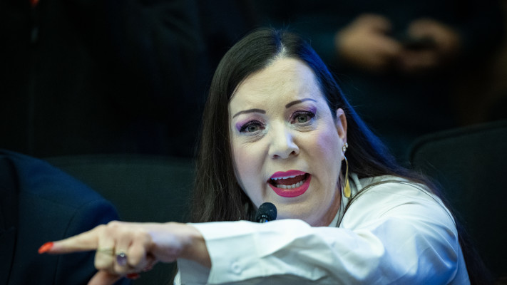 טלי גוטליב (צילום: יונתן זינדל, פלאש 90)