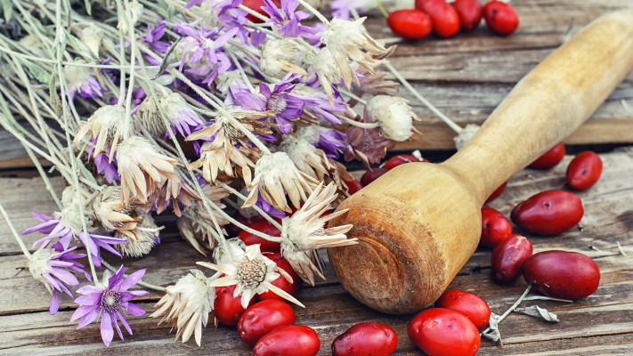 צמחי מרפא, אילוסטרציה