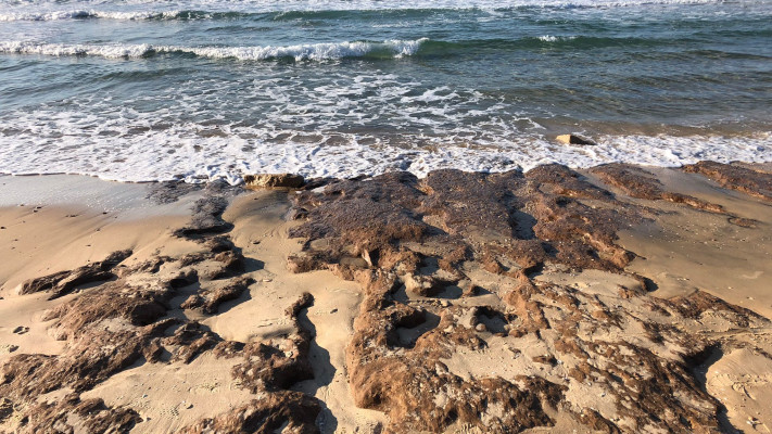 שמורת טבע חולות ניצנים ושמורת ים אבטח