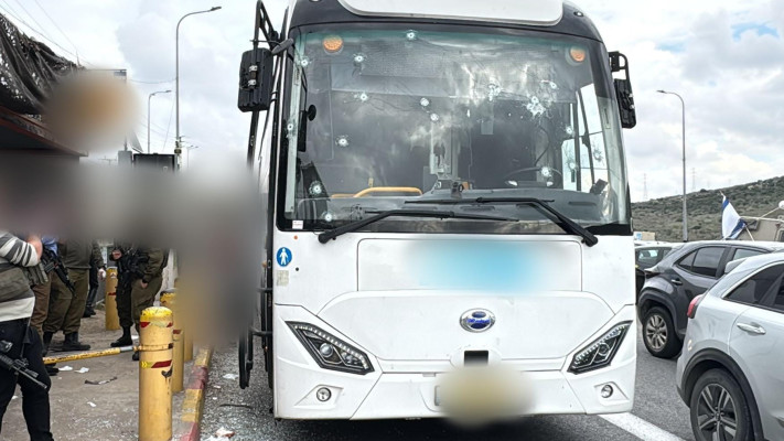זירת הפיגוע (צילום: דוברות מד''א)