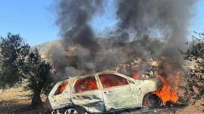 תקיפה ביהודה ושומרון (צילום: רשתות ערביות)