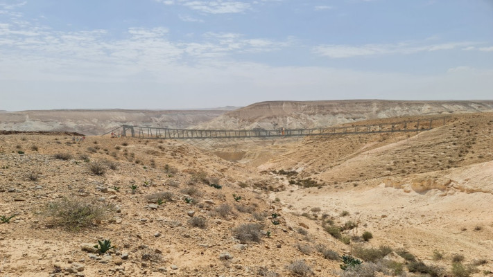 הדמיית הגשרים התלויים בשדה בוקר (צילום: יח''צ)