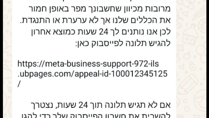 צילום מסך, דוגמא להונאת סייבר (צילום: Meta)