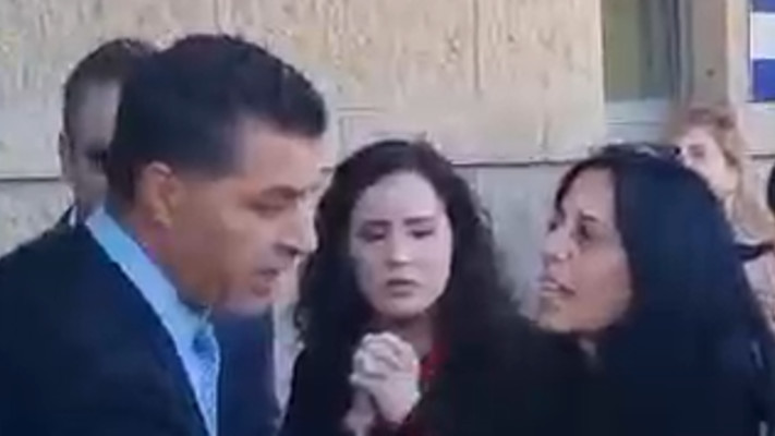 \'\'הרחקה - נועדה כדי להבטיח את העמידה בכללי המשכן כדי שהכנסת תוכל להמשיך ולמלא ייעודה\'\'. עינב צנגאוקר מורחקת מהכניסה לכנסת (צילום: ללא קרדיט)
