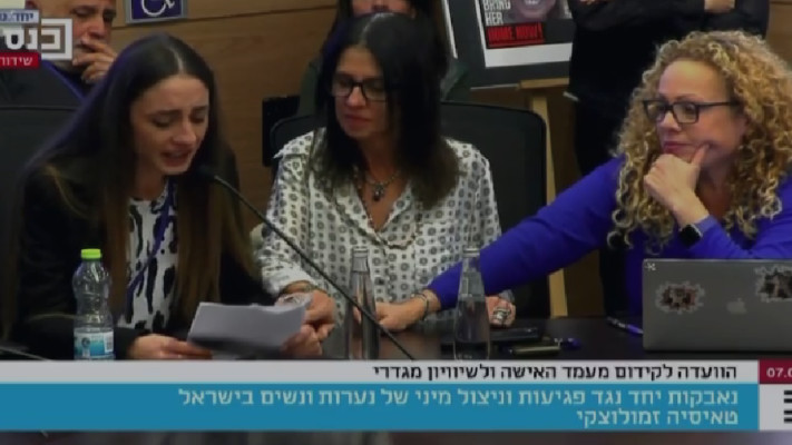 אורלי וילנאי לצד טאיסיה זמולוצקי בדיון בכנסת (צילום: ערוץ הכנסת)