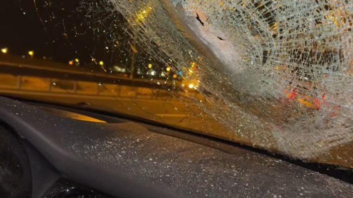 הסטורי של יעל שלביה (צילום: מתוך אינסטגרם)