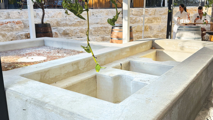 גת משוחזרת (צילום: מיטל שרעבי)