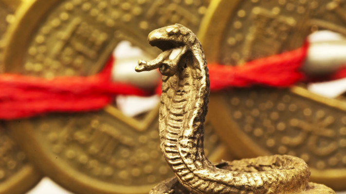 מה צופן לנו שנת הנחש הסינית?