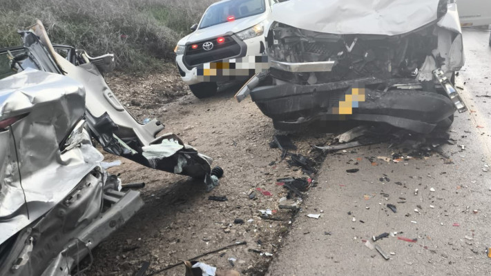 תאונת דרכים קטלנית בכביש 35 (צילום: תיעוד מבצעי מד''א)
