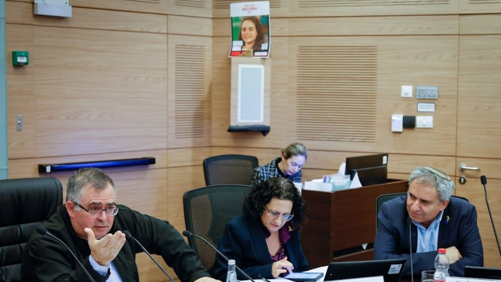 הדיון בועדת הכלכלה (צילום: דוברות הכנסת)