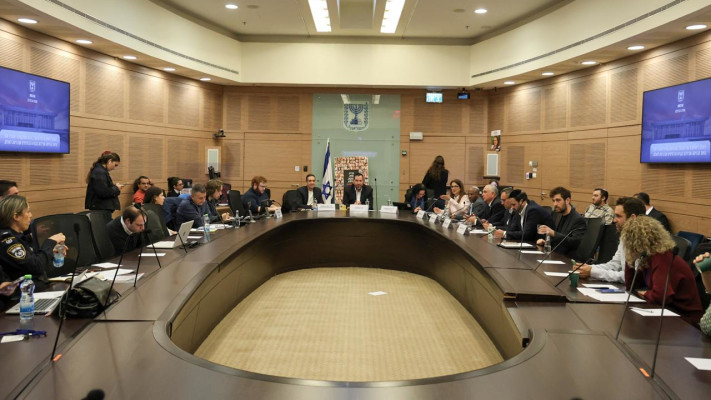 דיון על תו נכה בוועדת הכלכלה (צילום: דני שם טוב, דוברות הכנסת)
