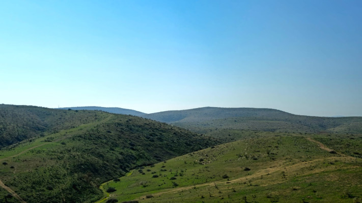 הבקעה נצבעה בירוק (צילום: שחר כפיר)