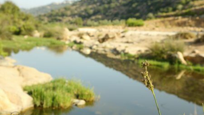 נחל קנה (צילום: צלמירי / תיירות שומרון)