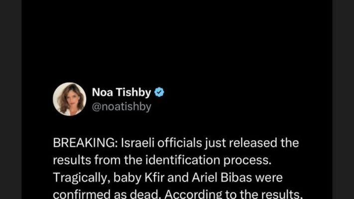 הזמרת פינק משתפת פוסט של נועה תשבי (צילום: צילום מסך רשתות חברתיות)