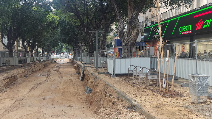 העצים ברחוב ארלוזרוב בתל אביב (צילום: עיריית תל אביב – יפו וחברת נת''ע)