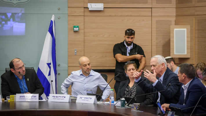 הדיון בועדת החוקה (צילום: נועם מושקוביץ, דוברות הכנסת)