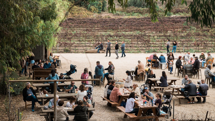 יריד זמן יין  (צילום: מורן קורן גודמן)