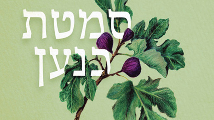 סמטת כנען חוה אלברשטיין (צילום: ללא)