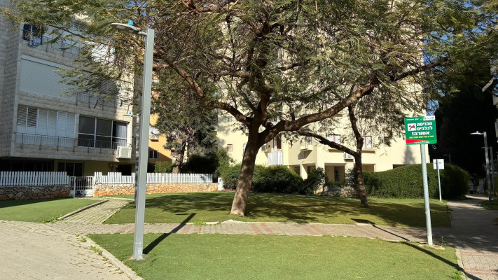 צילום במצלמת האייפון (צילום: צחי הופמן)