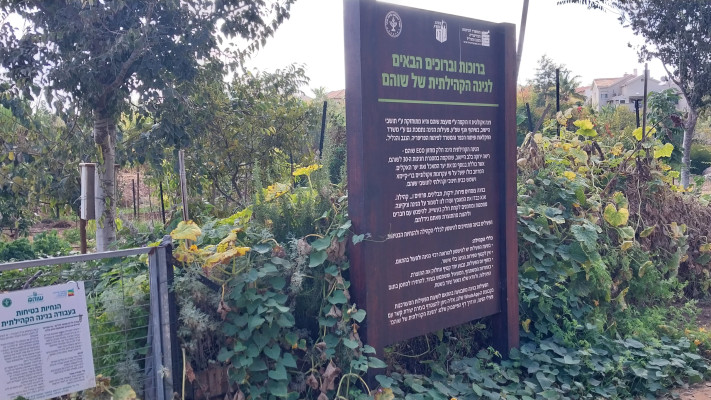 גינה קהילתית בשוהם, לצד השביל  (צילום: איציק בן דב, החברה להגנת הטבע)
