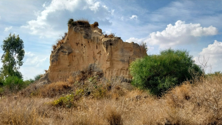 עמוד בתוך מחצבה היסטורית לצד התוואי החדש (צילום: איציק בן דב, החברה להגנת הטבע)