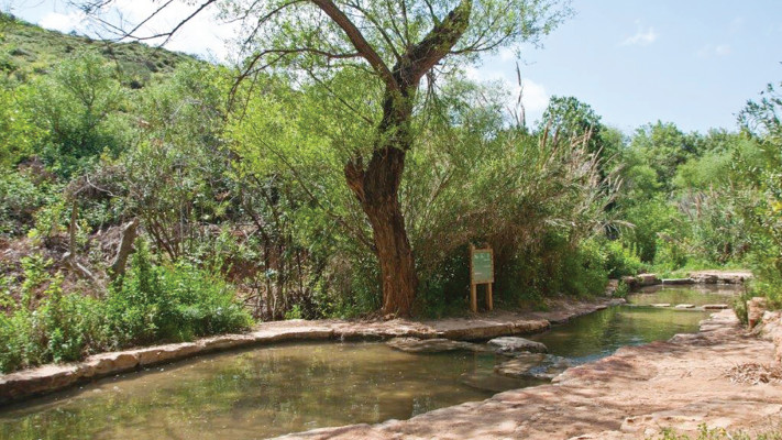 שמורת טבע נחל עיון  (צילום: גלית רוזן)