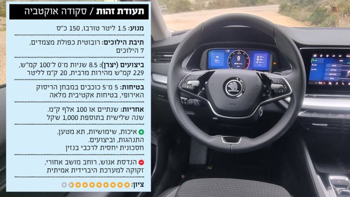 טבלה רכב משפחתיות