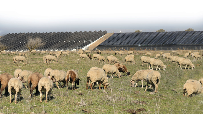 אנרגיה מתחדשת