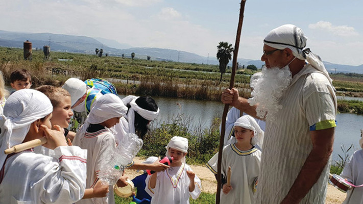 סוד הפלא הקיבוצי (צילום: בני ברק)
