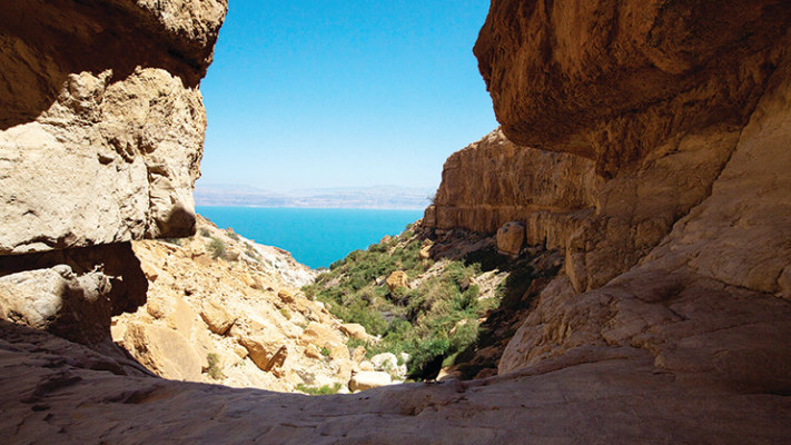 פסח במועצה האזורית תמר (צילום: איתמר גרינברג)