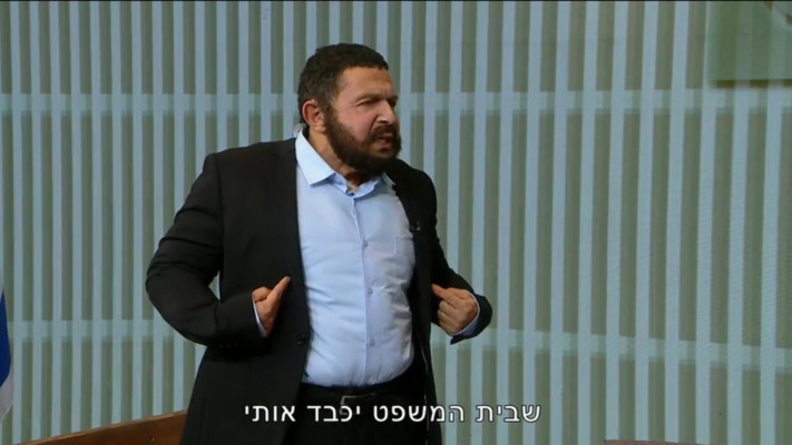 אלמוג כהן בארץ נהדרת (צילום: צילום מסך קשת 12)