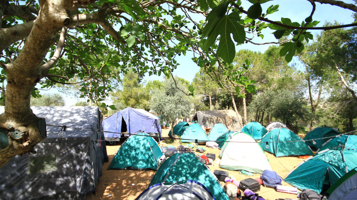 גן לאומי הקסטל (צילום: אבי בהרי)