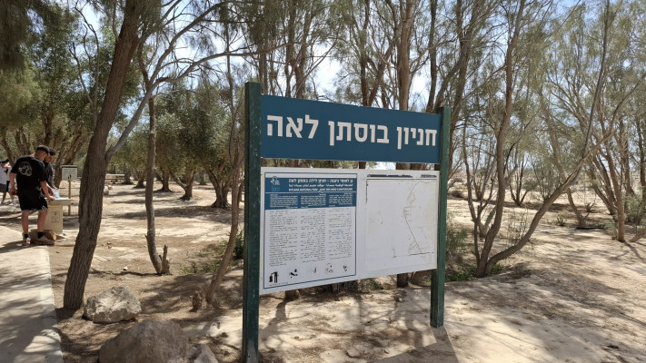 חניון בוסתן לאה (צילום: אפרת רוחין, רשות הטבע והגנים)