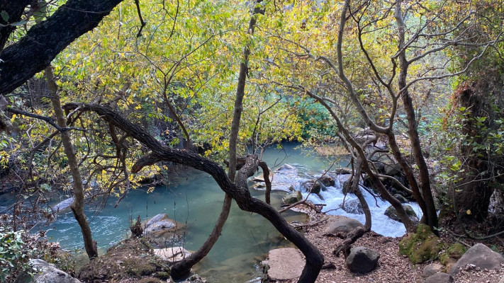 מסלול הטנק הסורי ההפוך בבניאס (צילום: נעמה מנספלד, רשות הטבע והגנים)