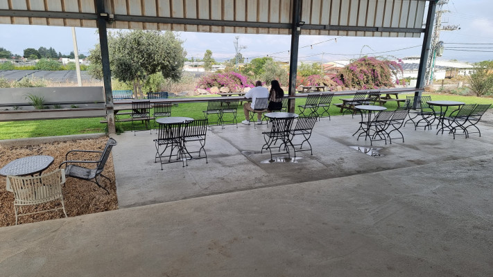 קפה ריקו (צילום: תאיר וינסיחר)