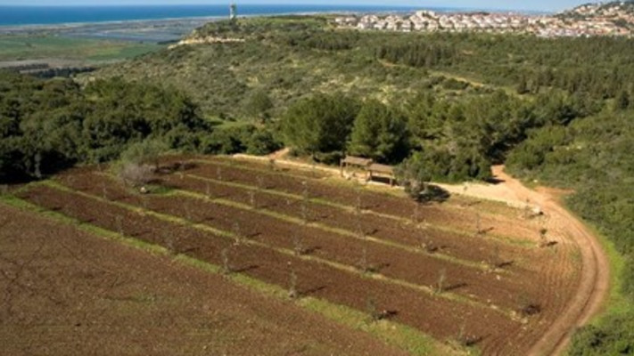 תכנית המחקר הסביבתי ברמת הנדיב (צילום: באדיבות רמת הנדיב)