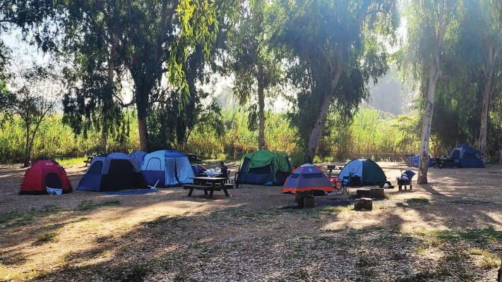 חניון לילה ירקון (צילום: אתי נפרין, רשות הטבע והגנים)