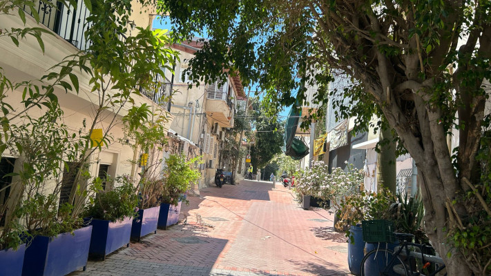 כרם התימנים (צילום: מאיה כהן)