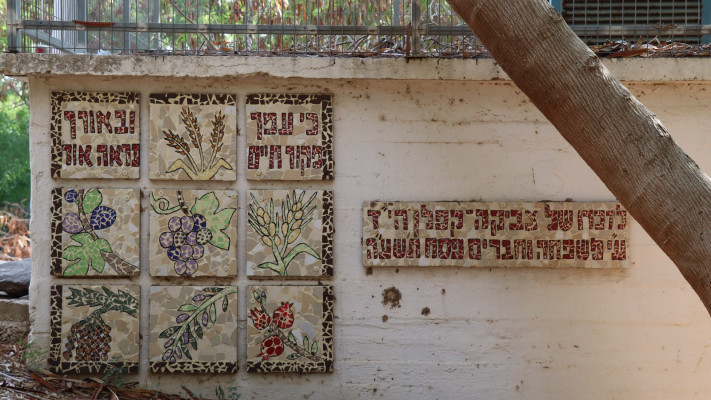 השביל הרטוב (צילום: אורן גבאי גולן)
