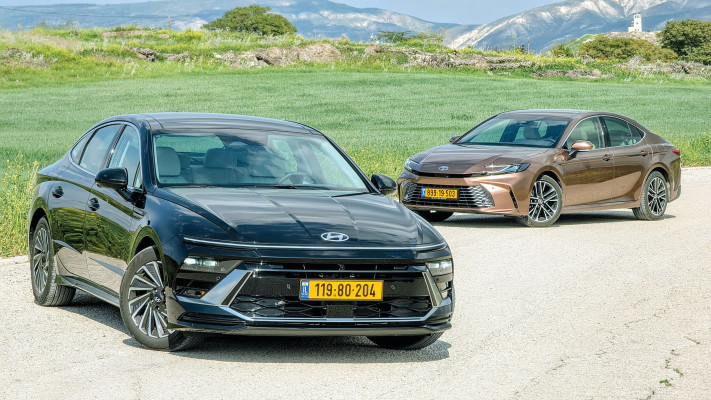 משותפת 3 (צילום: אודי עציון)