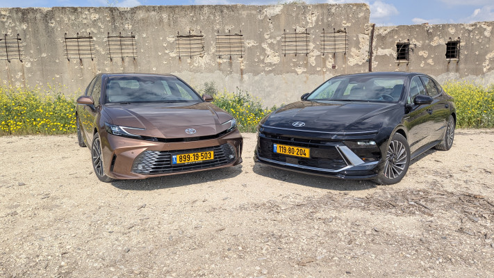 משותפת 2 (צילום: אודי עציון)