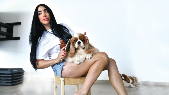 ריזורט לכלבים