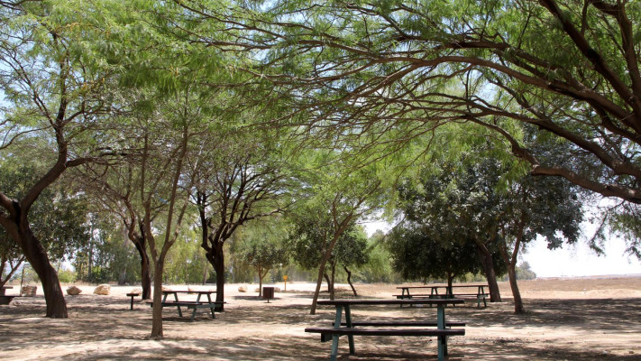 פארק שרשרת  (צילום: ארכיון קק''ל,יעקב שקולניק)
