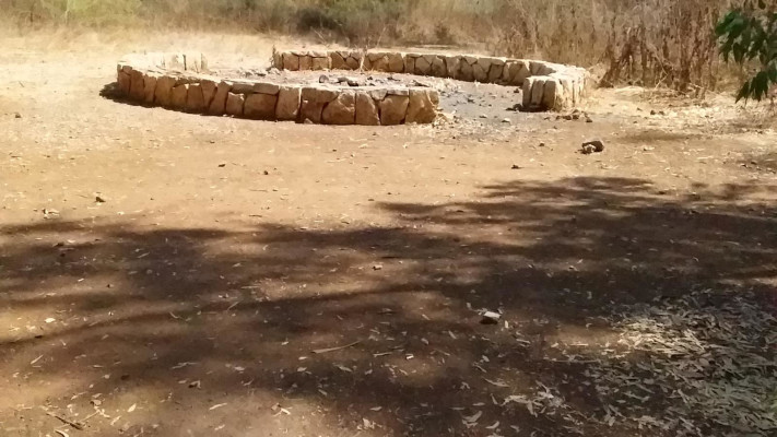יער חורשים (צילום: ארכיון קק''ל,שוקי בן אהרון)
