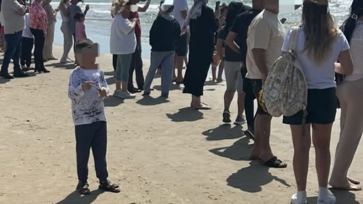 ישראלים צופים בכרישים בחוף בחדרה