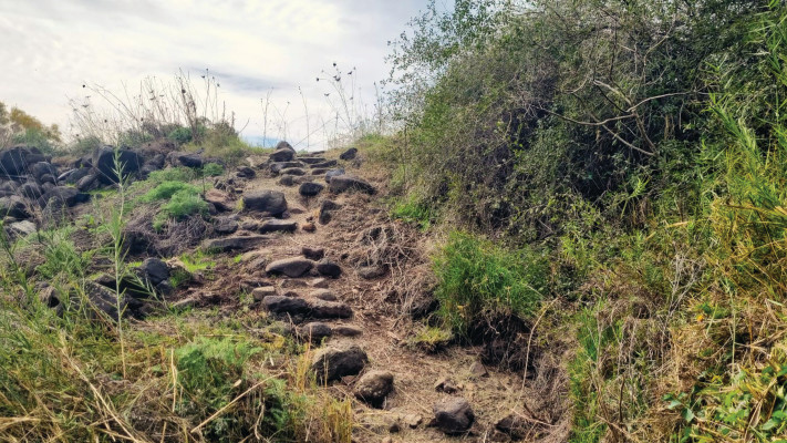 שביל סובב כנרת מגשר אריק ועד כפר נחום (צילום: דניאל וקנין, רשות הכנרת)