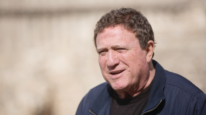 יהורם גאון (צילום: יונתן זינדל פלאש 90)