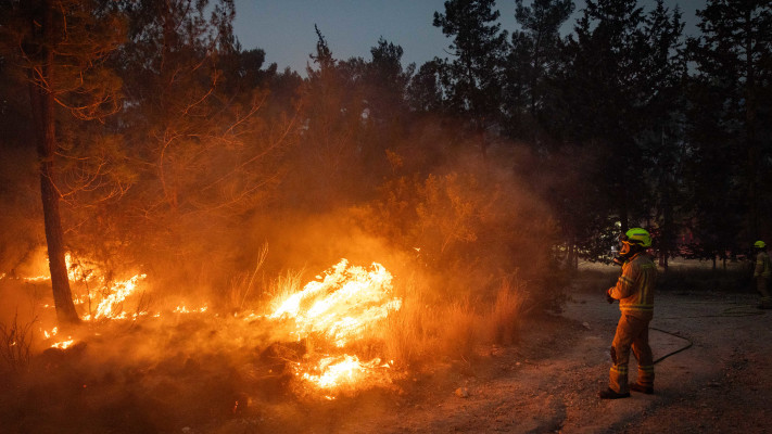שריפת הענק בפארק קנדה (צילום: יונתן זינדל, פלאש 90)